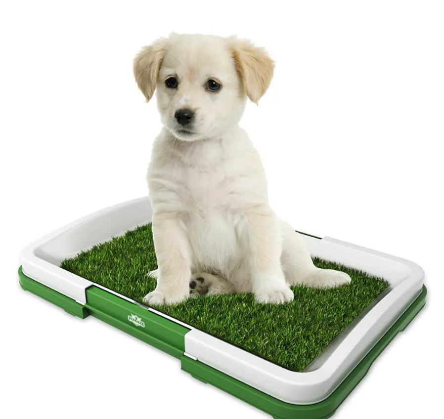 Toaleta cu iarba artificiala pentru animale, Puppy Potty Pad